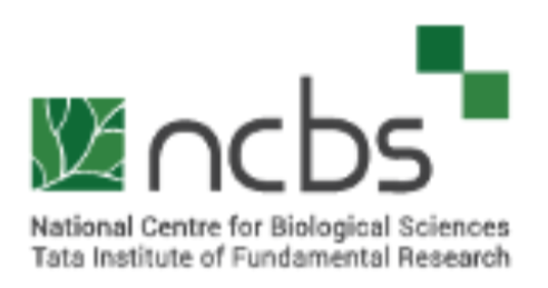 NCBS